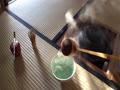 透木釜 透木釜